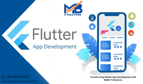 Flutter Developer